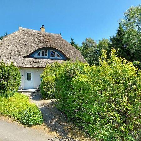 Ferienwohnung Im Uhlenhuus Wiek auf Rügen Exteriör bild