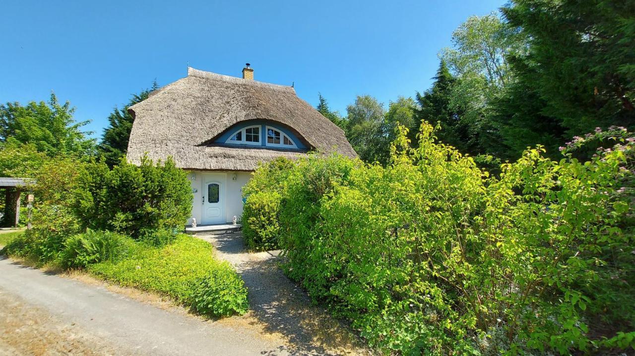 Ferienwohnung Im Uhlenhuus Wiek auf Rügen Exteriör bild